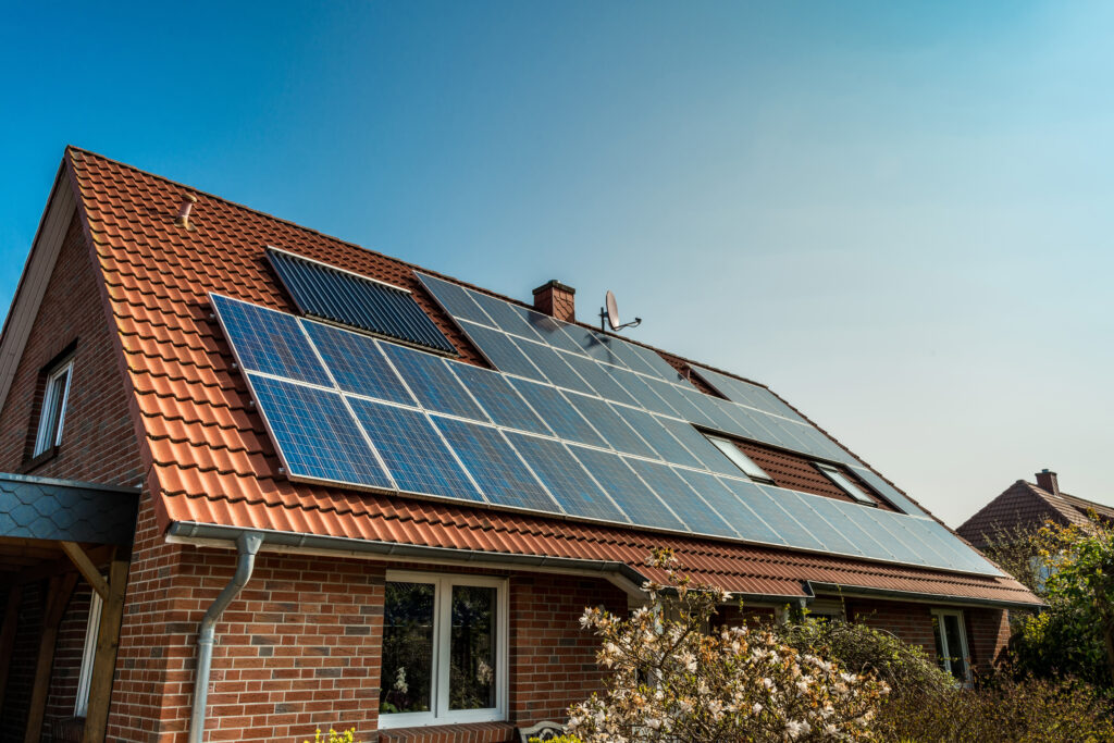 Solar Panel Cleaning
