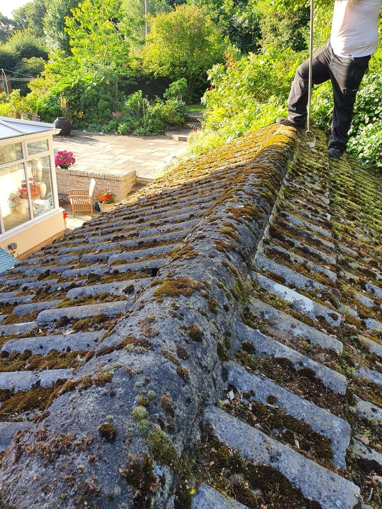 Roof Cleaning Pressure Wash & Soft Wash
